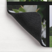 Natur-Schönheits-Collage Mousepad (Ecke)