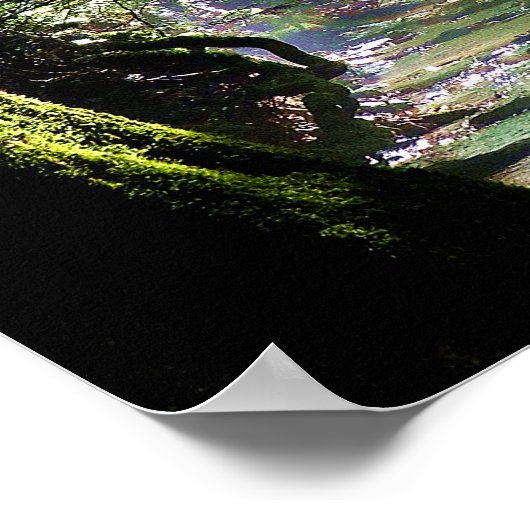 Natur Sonnenlicht durch Bäume auf dem Bach Poster (Ecke)