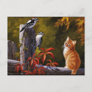 Natur Tiere Postkarte