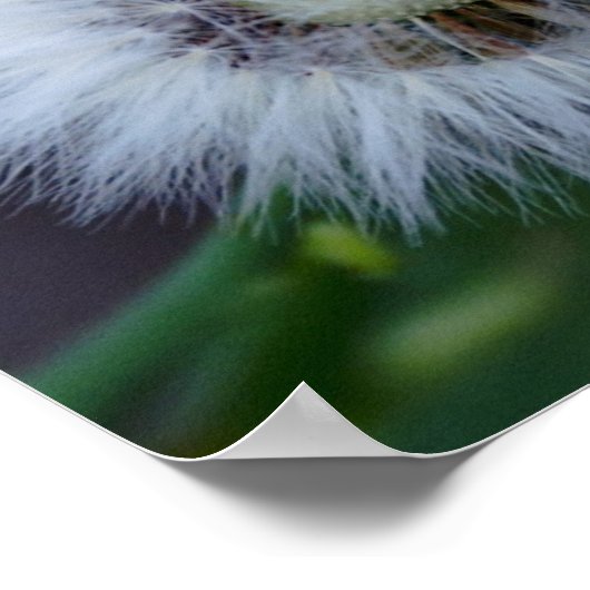 Natur und Apos; Sonne Poster (Ecke)