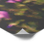 Natur- und Blumenfotografie Poster (Ecke)