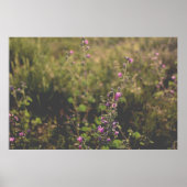 Natur- und Blumenfotografie Poster (Vorne)