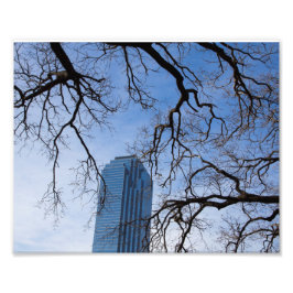 Natur und Kunst in Dallas, Texas Fotodruck