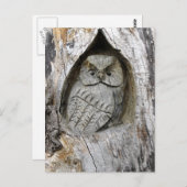 Natur- und Kunstzentrum Postkarte (Vorne/Hinten)