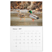 Natur und Tiere Kalender (Feb 2027)