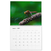 Natur und Tiere Kalender (Mär 2027)
