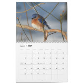 Natur- und Tierfotografie Kalender (Mär 2027)