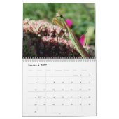 Natur- und Tierfotografie Kalender (Jan 2027)