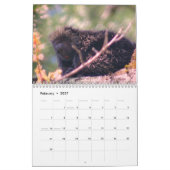 Natur- und Tierfotografie Kalender (Feb 2027)