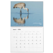 Natur- und Wildtierbilder aus Oregon Kalender (Mär 2026)