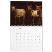 Natur- und Wildtierbilder aus Oregon Kalender (Feb 2026)