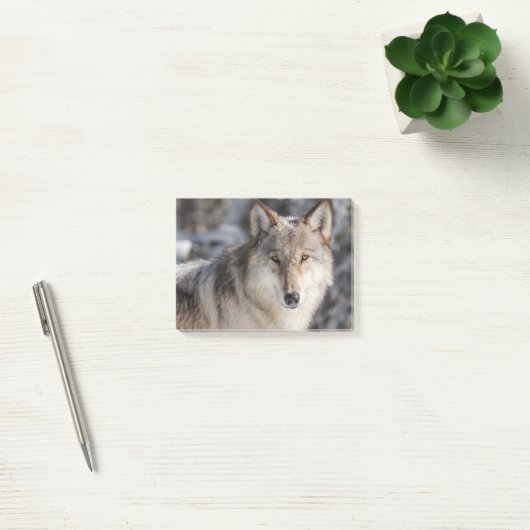 Natur- und Wolfdesign Post-it Klebezettel (Büro)