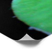 Natur unter Lilien Poster (Ecke)