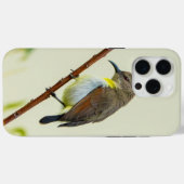 Natur Vogel Handyhülle Case-Mate iPhone Hülle (Rückseite (Horizontal))