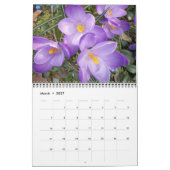 Natur - Vögel - Landschafts12-monatiger Kalender (Mär 2027)