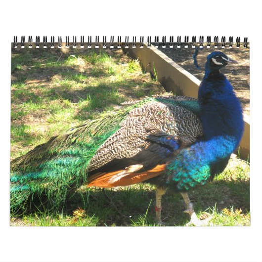 Natur - Vögel - Landschafts12-monatiger Kalender (Titelbild)