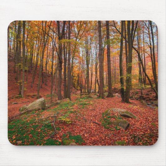 Natur, Wald, Bäume Mousepad (Vorne)