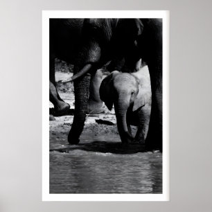 Natur-Wandkunst-Druck Elefantenkalb am Wasser Poster