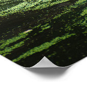 Natur Wildtiere Bengalisch Tiger in Wasserfotograf Poster (Ecke)