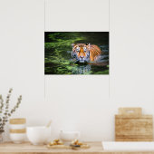 Natur Wildtiere Bengalisch Tiger in Wasserfotograf Poster (Küche)