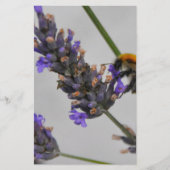 Natur Wunderbare Arbeiter Briefpapier (Vorderseite)