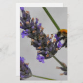 Natur Wunderbare Arbeiter Briefpapier (Vorne/Hinten)