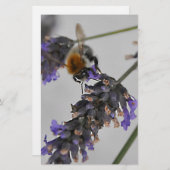 Natur Wunderbare Arbeiter Briefpapier (Vorne/Hinten)