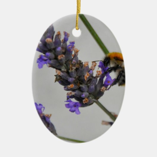 Natur Wunderbare Arbeiter Keramik Ornament (Vorne)