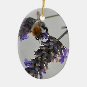 Natur Wunderbare Arbeiter Keramikornament