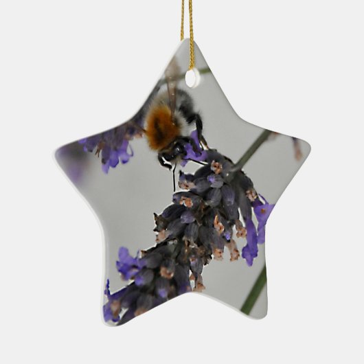 Natur Wunderbare Arbeiter Keramikornament (Rechts)