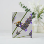 Natur Wunderbare Arbeiter Postkarte (Stehend Vorderseite)