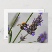 Natur Wunderbare Arbeiter Postkarte (Vorne/Hinten)