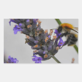 Natur Wunderbare Arbeiter Rechteckiger Aufkleber