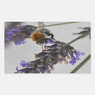 Natur Wunderbare Arbeiter Rechteckiger Aufkleber