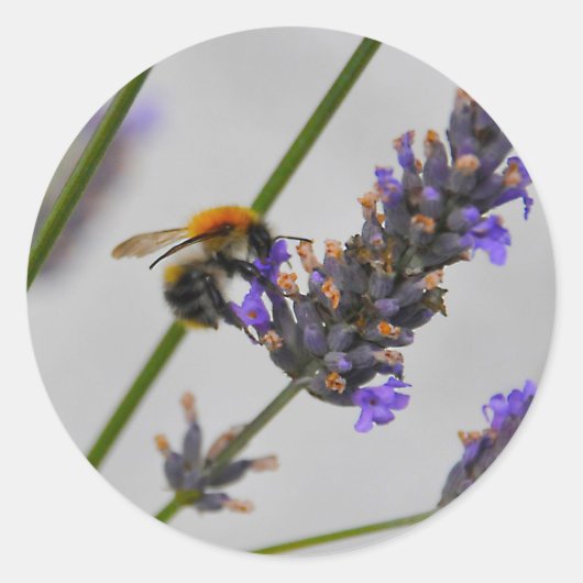 Natur Wunderbare Arbeiter Runder Aufkleber (Vorderseite)