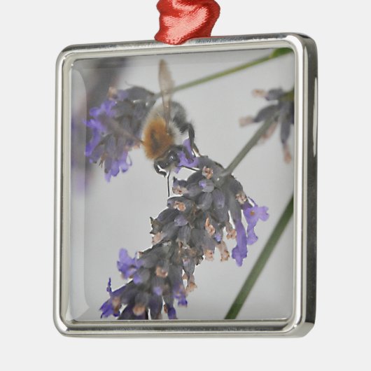 Natur Wunderbare Arbeiter Silbernes Ornament (Links)