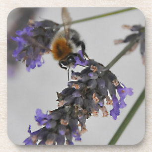 Natur Wunderbare Arbeiter Untersetzer