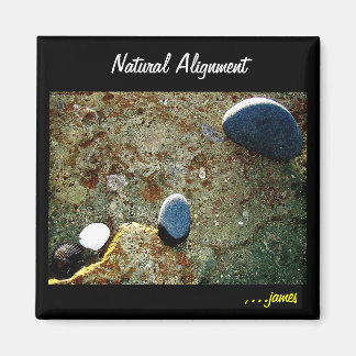 Natural Alignment Magnet