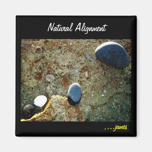 Natural Alignment Magnet (Vorne)