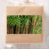 Natural Bamboo Zen Background Customized Template (Insitu)