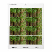 Natural Bamboo Zen Background Customized Template (Vorne)