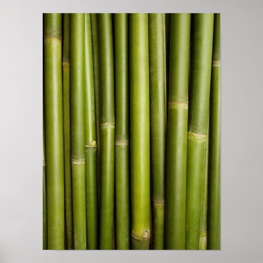 Natural Bamboo Zen Background Customized Template Poster (Vorne)