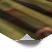 Natural Bamboo Zen Background Customized Template Poster (Ecke)