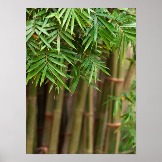 Natural Bamboo Zen Background Customized Template Poster (Vorne)