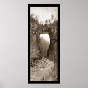 Natural Bridge VA Foto 1909 Poster