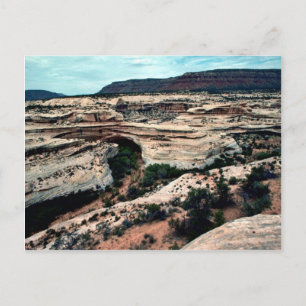 Natural Bridges Nationalpark Postkarte