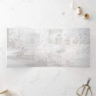 natural Christmas Dreifach Gefaltete Ankündigung