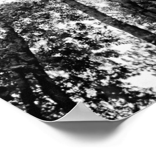 Natural Fit (Baumspitzen) Poster (Ecke)