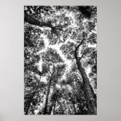 Natural Fit (Baumspitzen) Poster (Vorne)