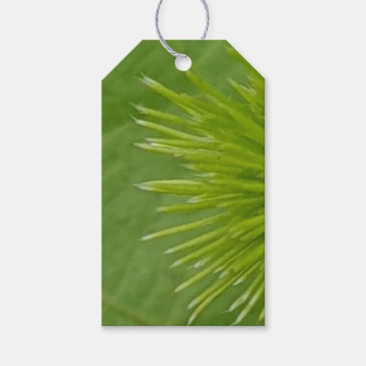 Natural Green Gift Tag Geschenkanhänger (Vorderseite)